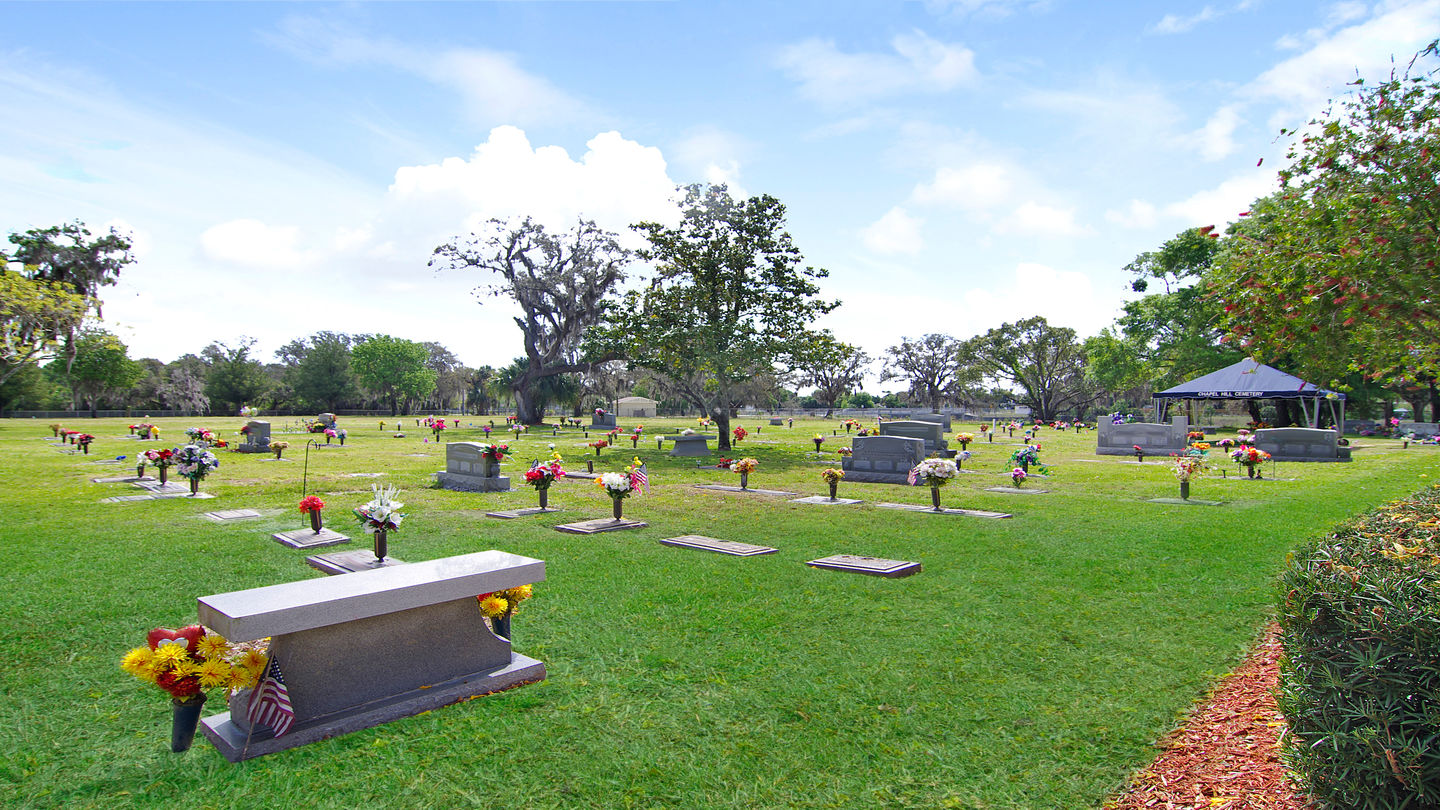 Cemetery grounds at Chapel Hill Cemetery