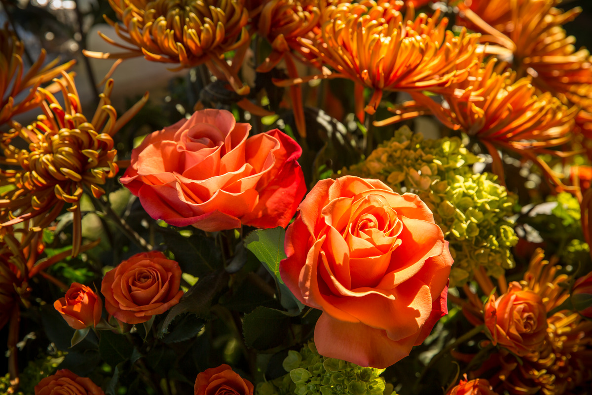 Top view of a bouquet of flowers.