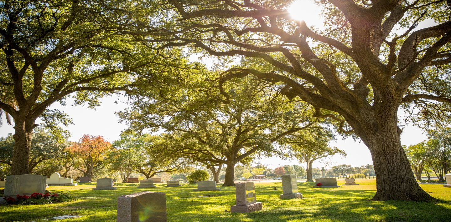 A large oak tree shades a community garden with assorted upright granite headstones at Forest Park Lawndale.
