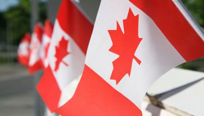 Row of Canadian flags extending into the back.