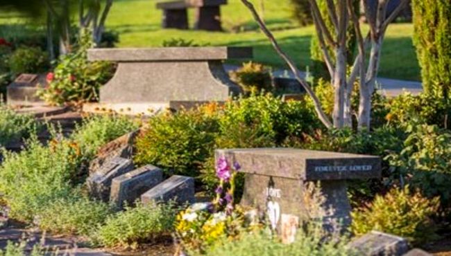 A cremation garden with beveled memorial niches and benches.