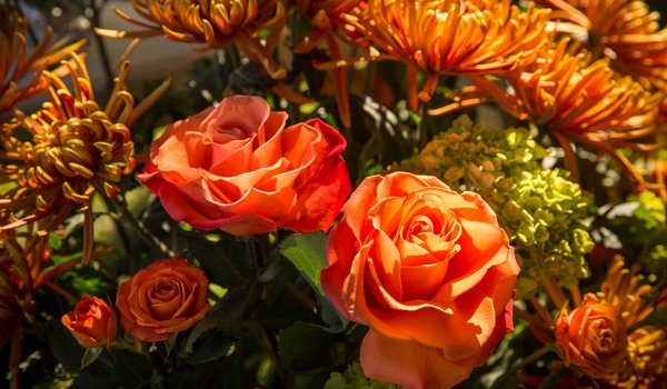 Top view of a bouquet of flowers.