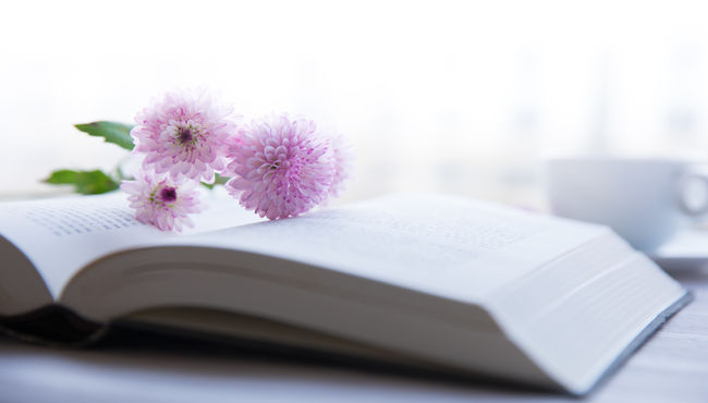 An open book laying on a table with pink flowers laying across it and a white coffee cup in the background in natural light.