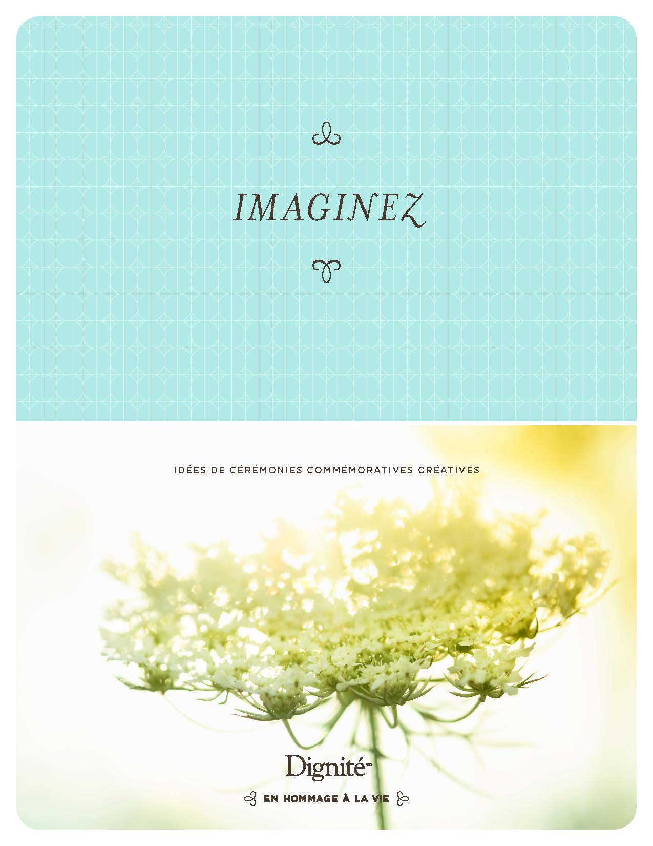 imagine guide pencil promo desktop