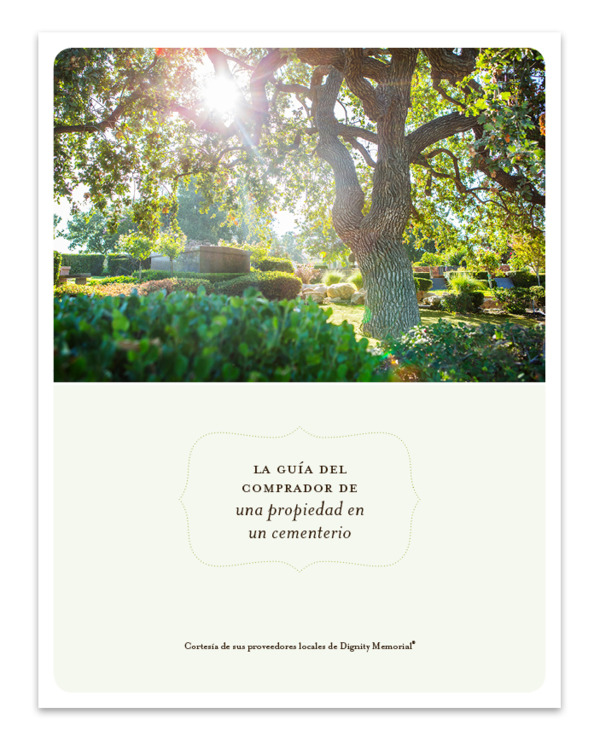 buyer's guide cover spanish