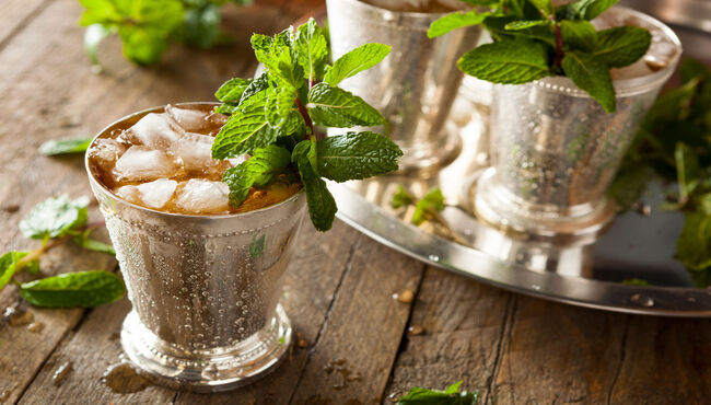mint julep drinks
