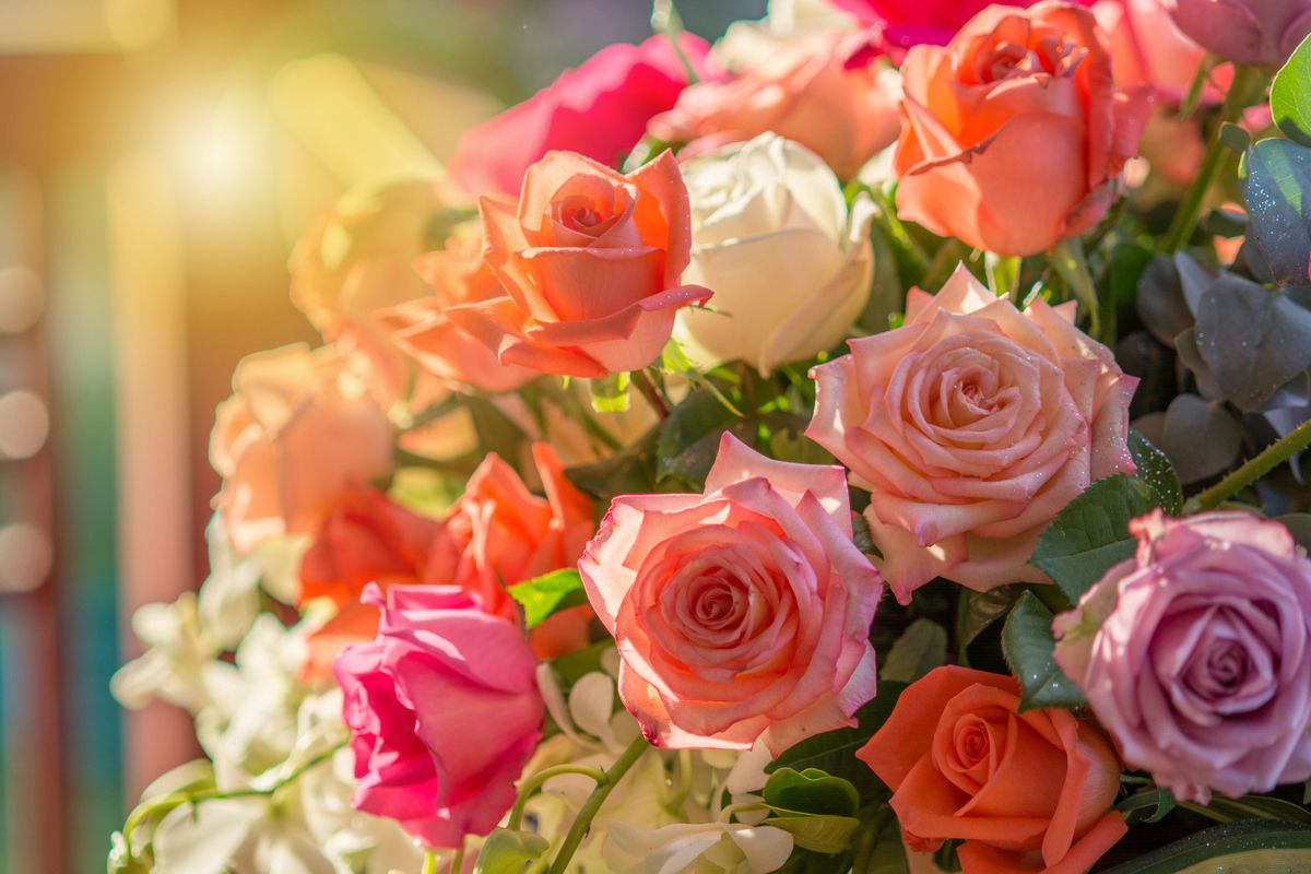 bouquet of roses