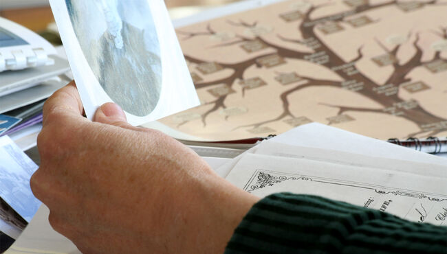 Create a family tree