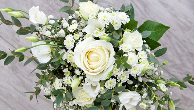 floral-promo-bg