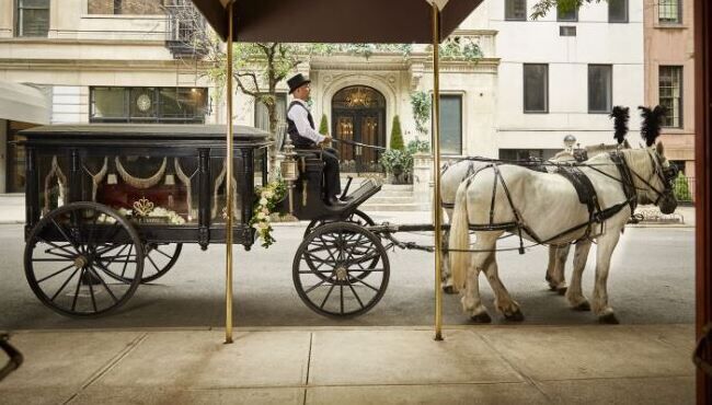 Horse-drawn hearse