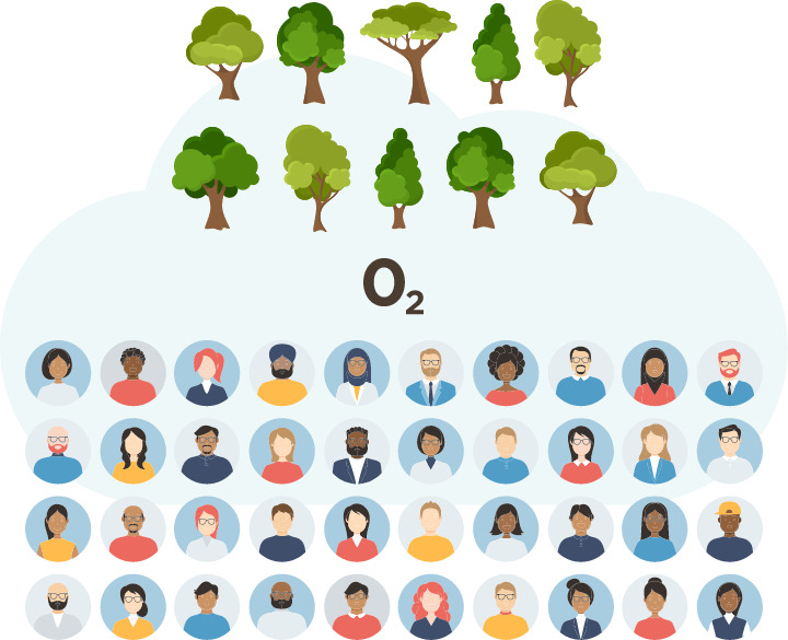 ten tree infographic