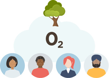 one tree infographic