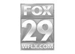 Fox 29 Logo
