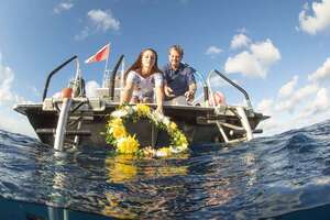 Underwater scenery at the Neptune Memorial Reef