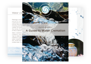 Buyer's Guide to Cemetery Property cover