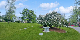 Cemetery ground at Belcrest Memorial Park